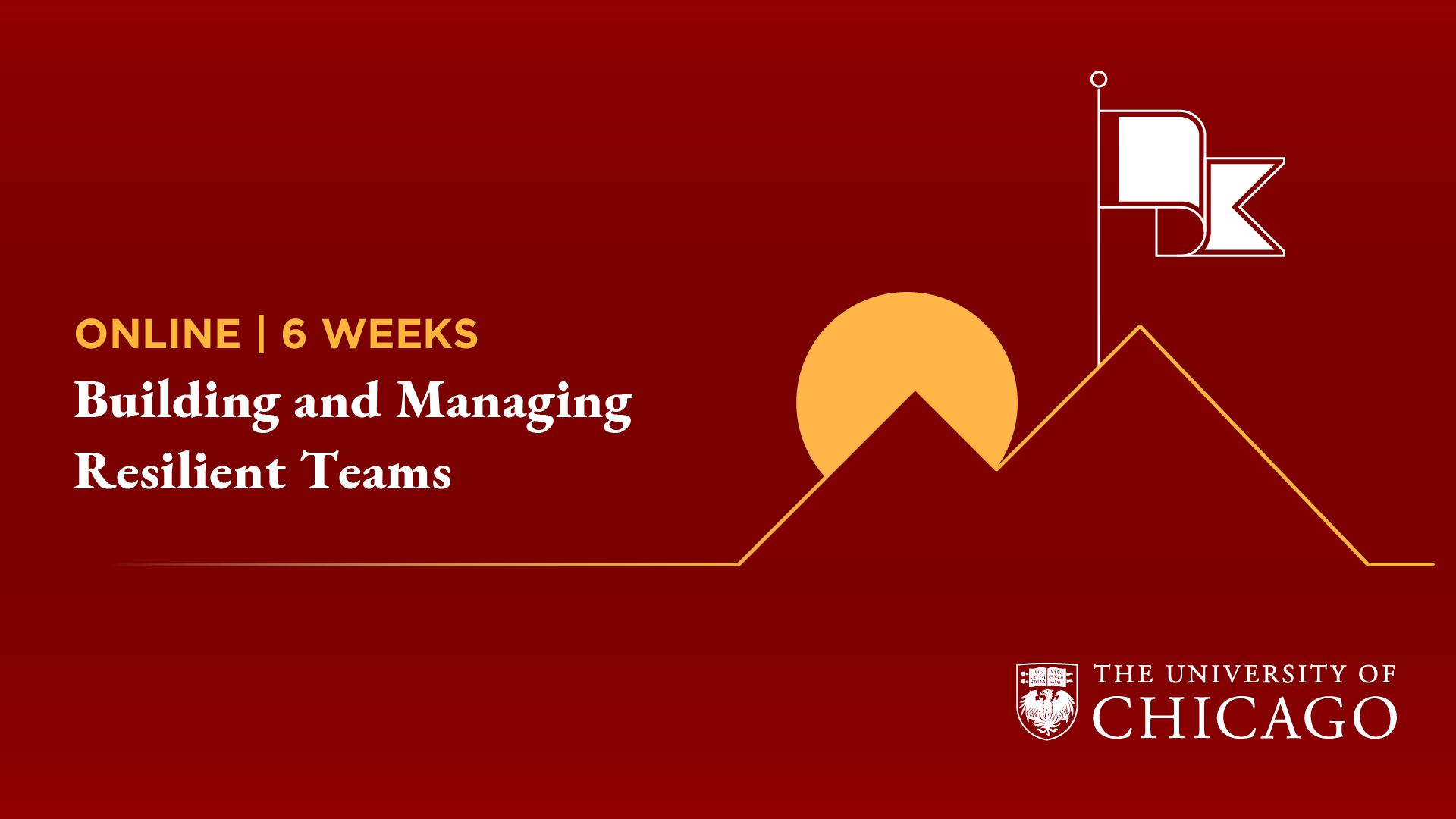 Building and managing Resilient Teams Landing cartel