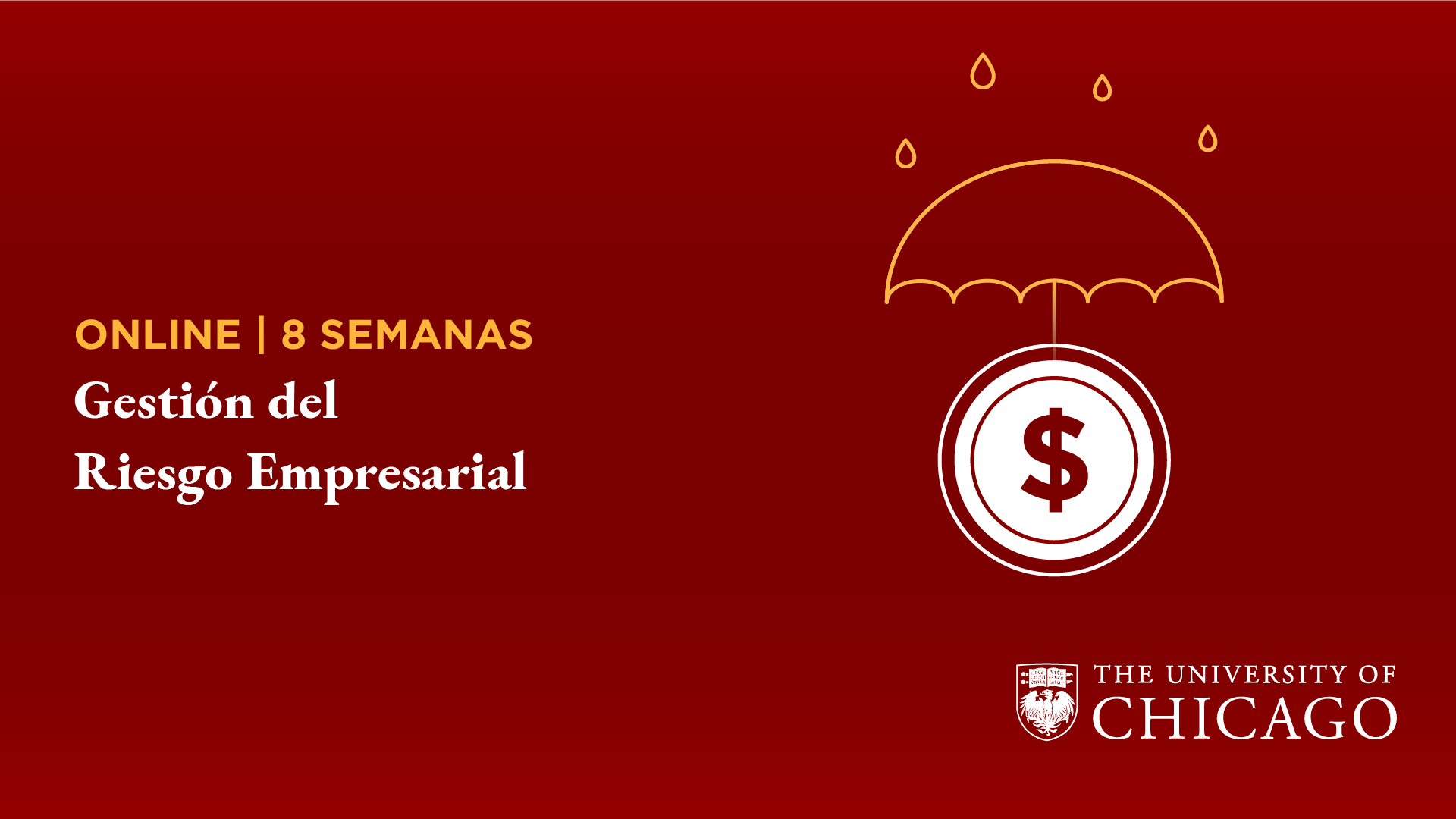 GESTION DE RIESGO EMPRESARIAL
