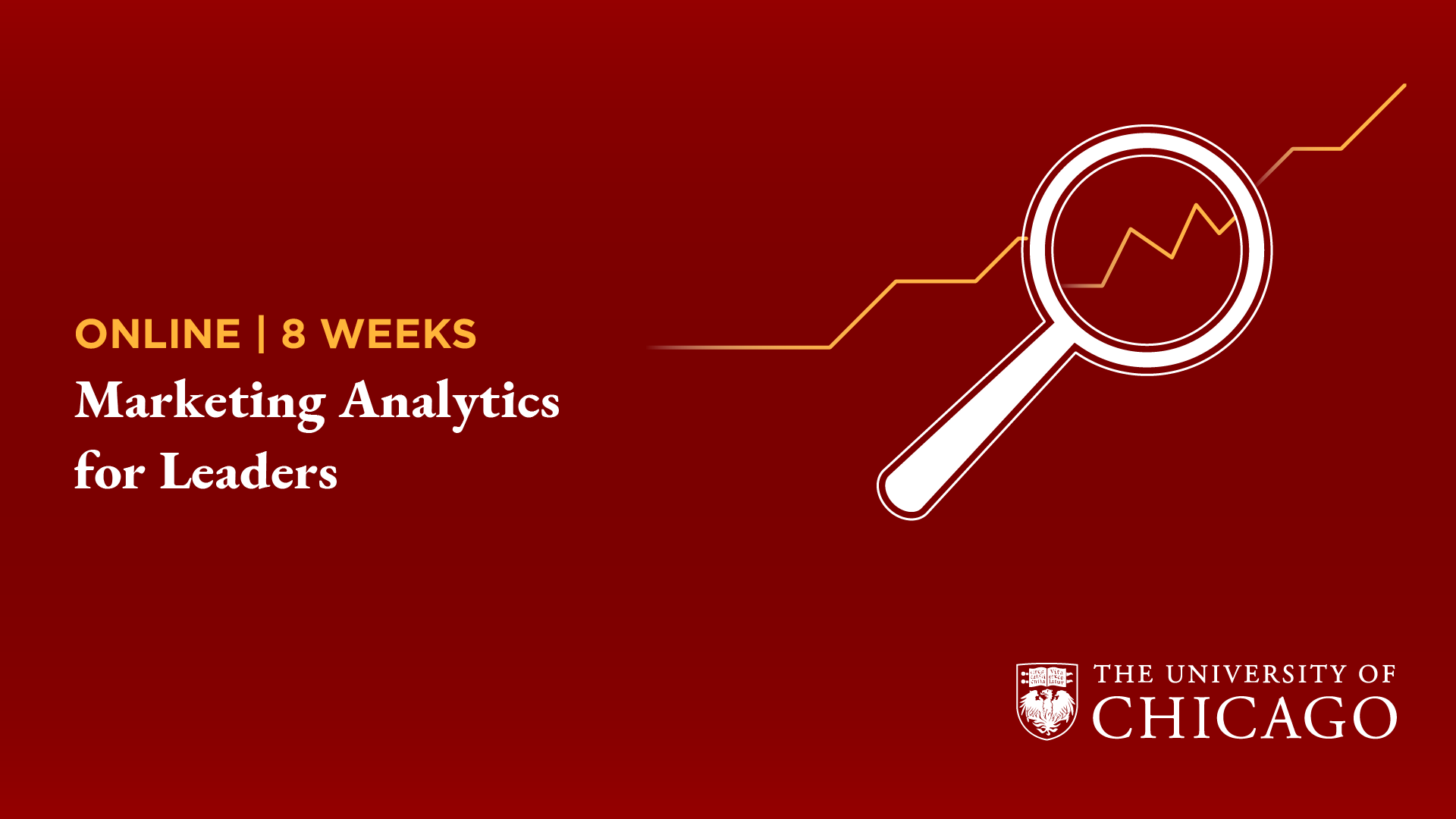 Marketing Analytics for Leaders Landing cartel