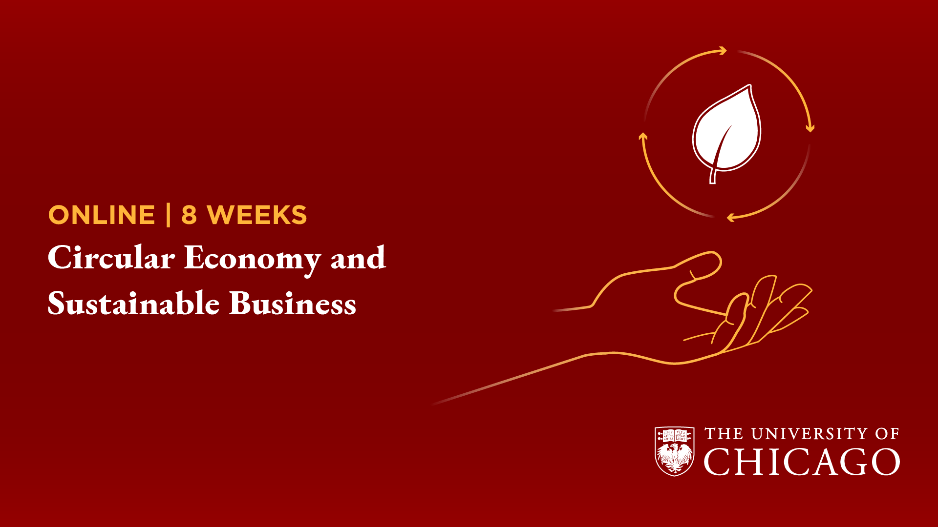 Circular Economy and Sustainable Business