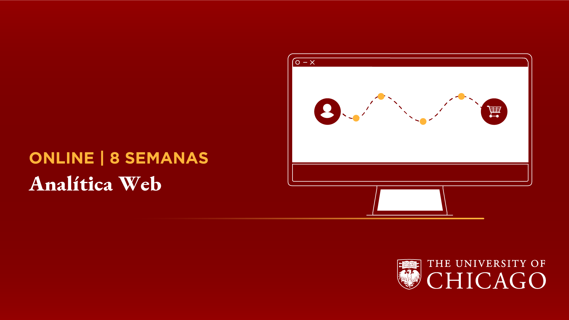 Analitica Web